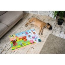 Напольный пазл-мозаика большой "Спорт Тоша" (ТойРой Медиа)