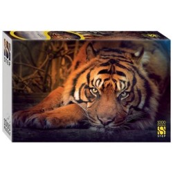 Мозаика "puzzle" 1000 "Сибирский тигр"
