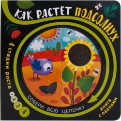 Собери цепочку. Как растет подсолнух