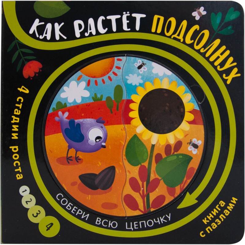 Собери цепочку. Как растет подсолнух Собери цепочку. Как растет подсолнух