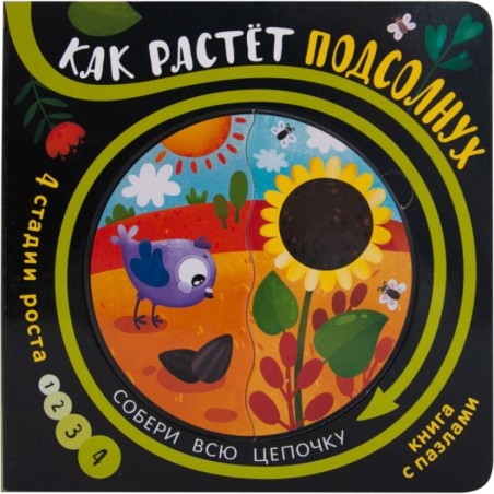 Собери цепочку. Как растет подсолнух