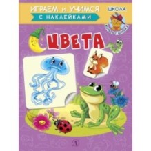 ИУ Шестакова. Цвета