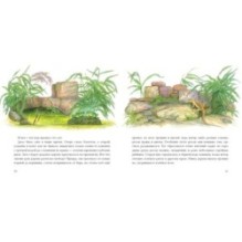 Всему свое место