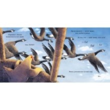 Курица спешит домой