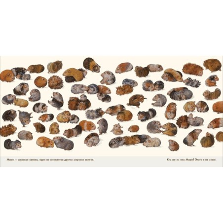 Лучше всех?