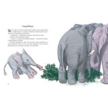 Мотылек и волшебный шар