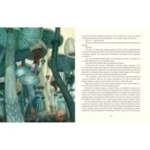 Путешествие к центру Земли