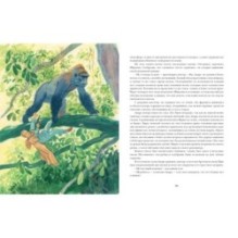 Путешествие парижанина вокруг света