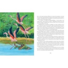 Путешествие парижанина вокруг света