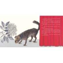 Пух и перья