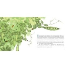 Пятеро из одного стручка