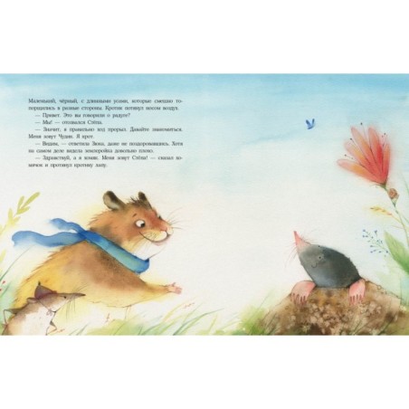 Радуга для Чудика