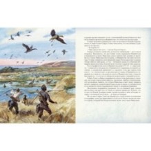 Таинственный остров