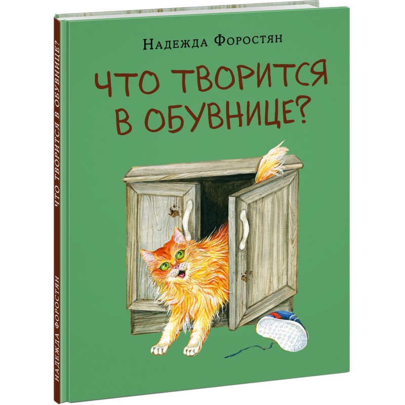 Что творится в обувнице?