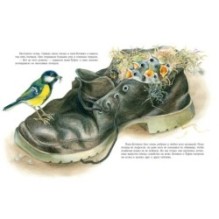 Что творится в обувнице?