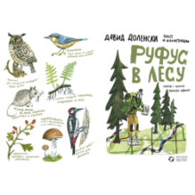 Руфус в лесу