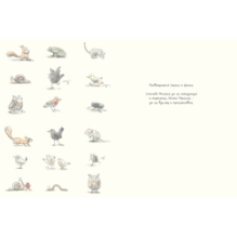 Удивленная сова