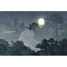 Удивленная сова