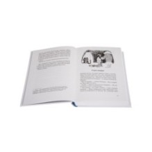 Как Гитлер украл розового кролика, 2-е издание