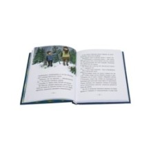 Маленькая повесть о любви