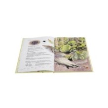 Экспедиция Софи