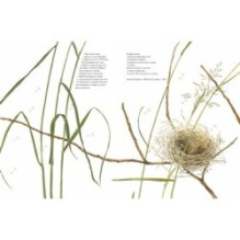 Книга злаков и трав