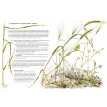 Книга злаков и трав