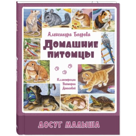 Домашние питомцы