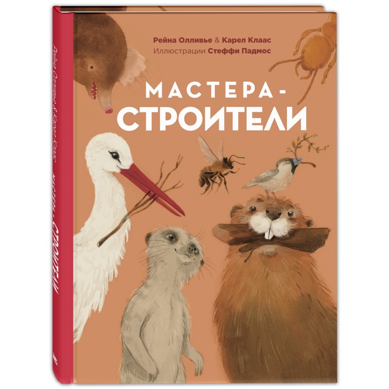 Мастера-строители Мастера-строители