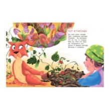 Бесконечный год кота. Без кота и жизнь не та