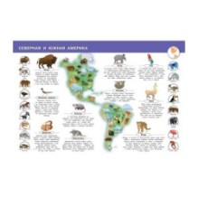 Животные нашей планеты. Моя первая энциклопедия с наклейками
