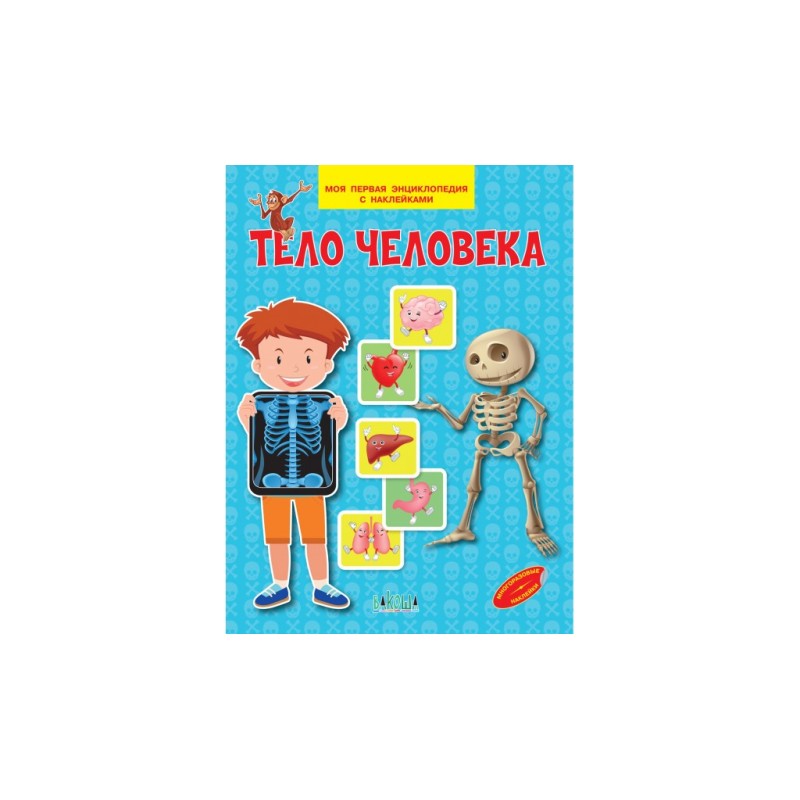 Тело человека. Моя первая энциклопедия с наклейками