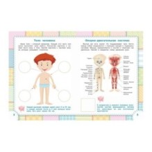 Тело человека. Книжка с многоразовыми наклейками