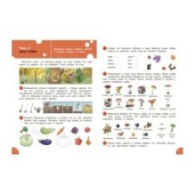 По дороге в школу. Окружающий мир: тетрадь для занятий с детьми 5-7 лет