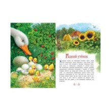 Гадкий утёнок