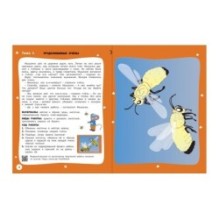 Творческие задания. Времена года: Осень 6+