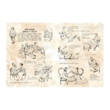 Секреты привычных вещей. Истории изобретений.