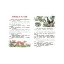 Прыжок. Рассказы и сказки