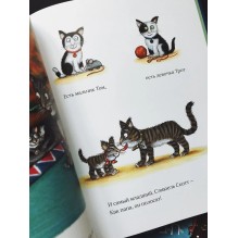 Тимоти Скотт