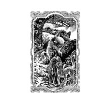 Хантер. Коты-воители. Огонь и лед