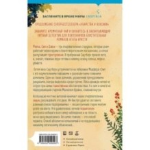 Убийства в пляжных домиках. Детективное агентство «Благотворительный магазин» (2)