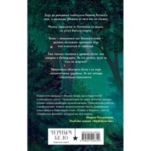 Золотые земли. Сокол и Ворон