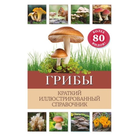 Грибы. Краткий иллюстрированный справочник