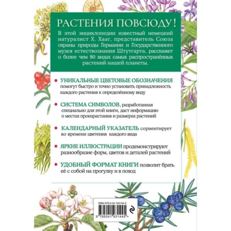 Растения. Краткий иллюстрированный справочник