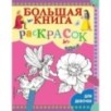 Большая книга раскрасок для девочек