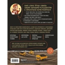 Тайна чёрных камней. Увлекательное путешествие в мир угля