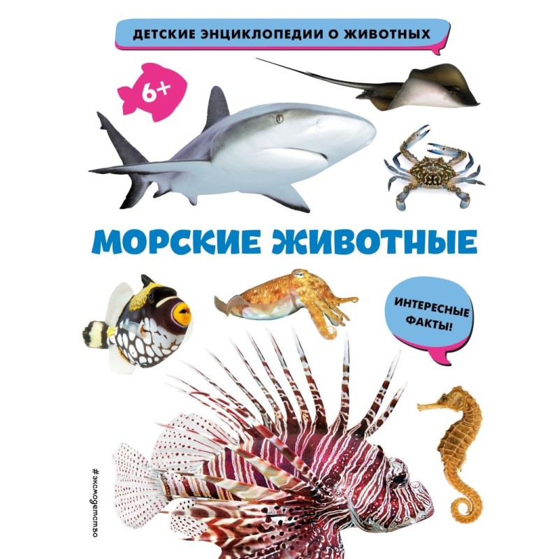 Морские животные Морские животные