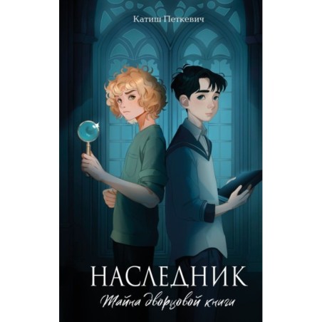 Наследник. Тайна дворцовой книги