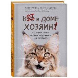 Кот в доме хозяин! Как понять своего питомца, подружиться и не навредить