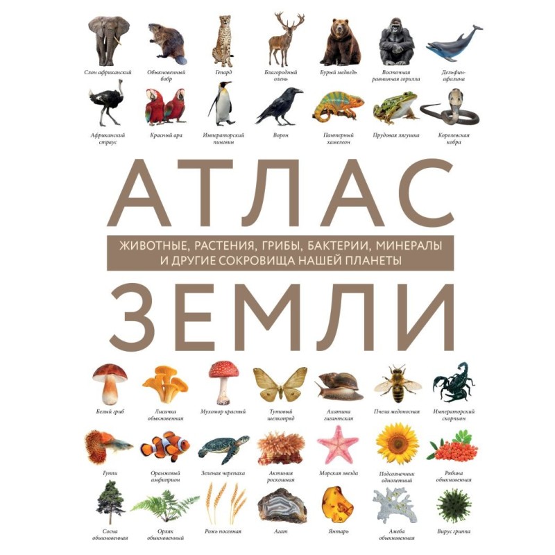 Атлас Земли. Животные, растения, грибы, бактерии, минералы и другие сокровища нашей планеты